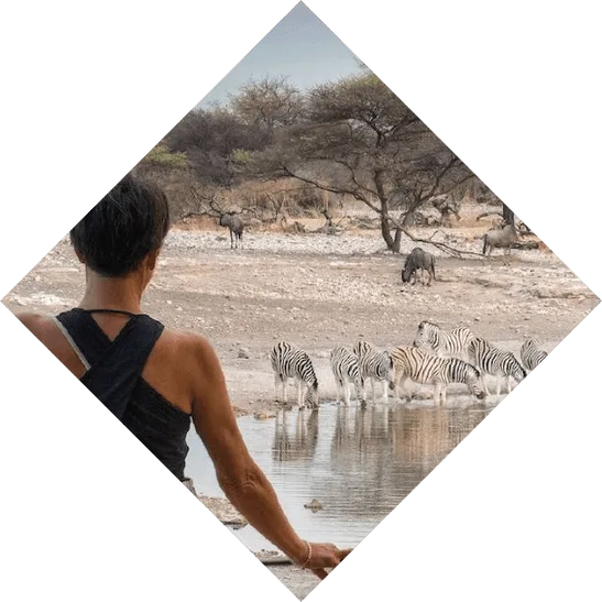 Sua Experiência em Turismo de Luxo