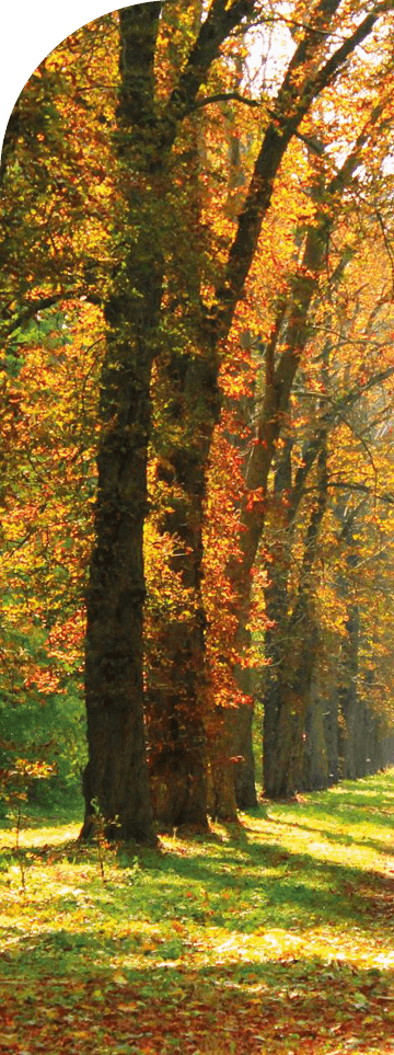 Vista o Turismo de Luxo com a Zest