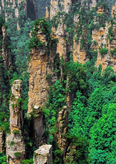 Viva o Turismo de Luxo com a Zest