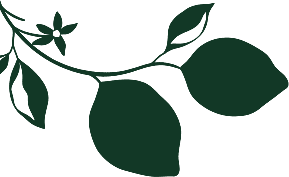 Zest Estúdio de Viagens de Luxo