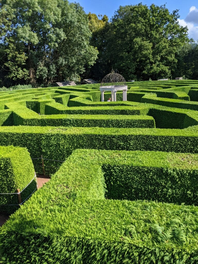 Repertório curatorial