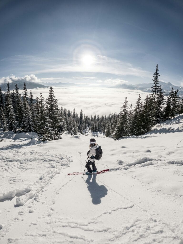 Vocabulário da neve