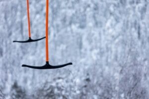 Vocabulário da neve